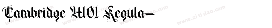 Cambridge W01 Regula字体转换